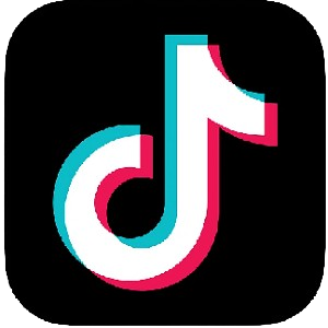 TikTok Logo